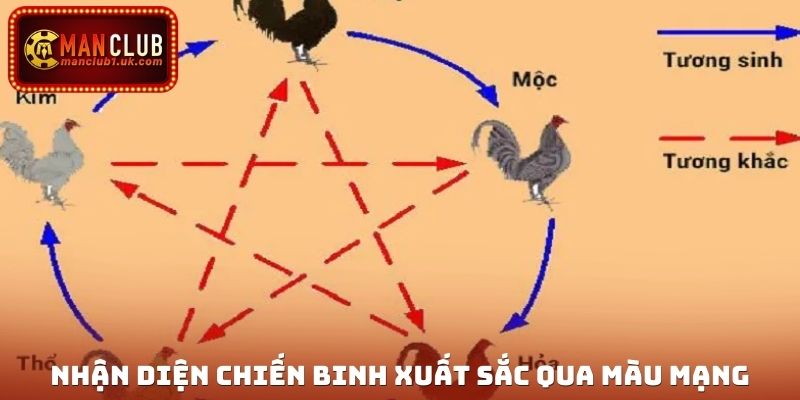 Nhận diện chiến binh xuất sắc qua màu mạng